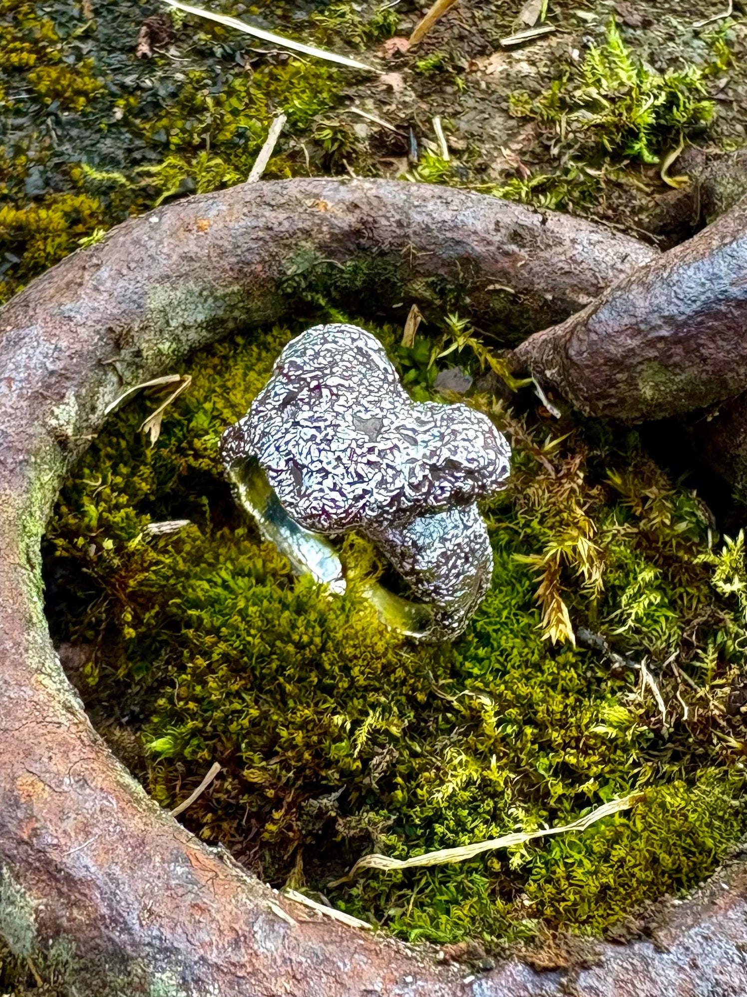 textured sterling silver heart ring, on a bed of moss. Handmade chunky silver ring, unique textured band with heart shape.
